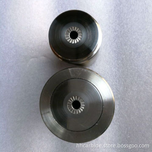 Screw Molds Scutiger Main Dies